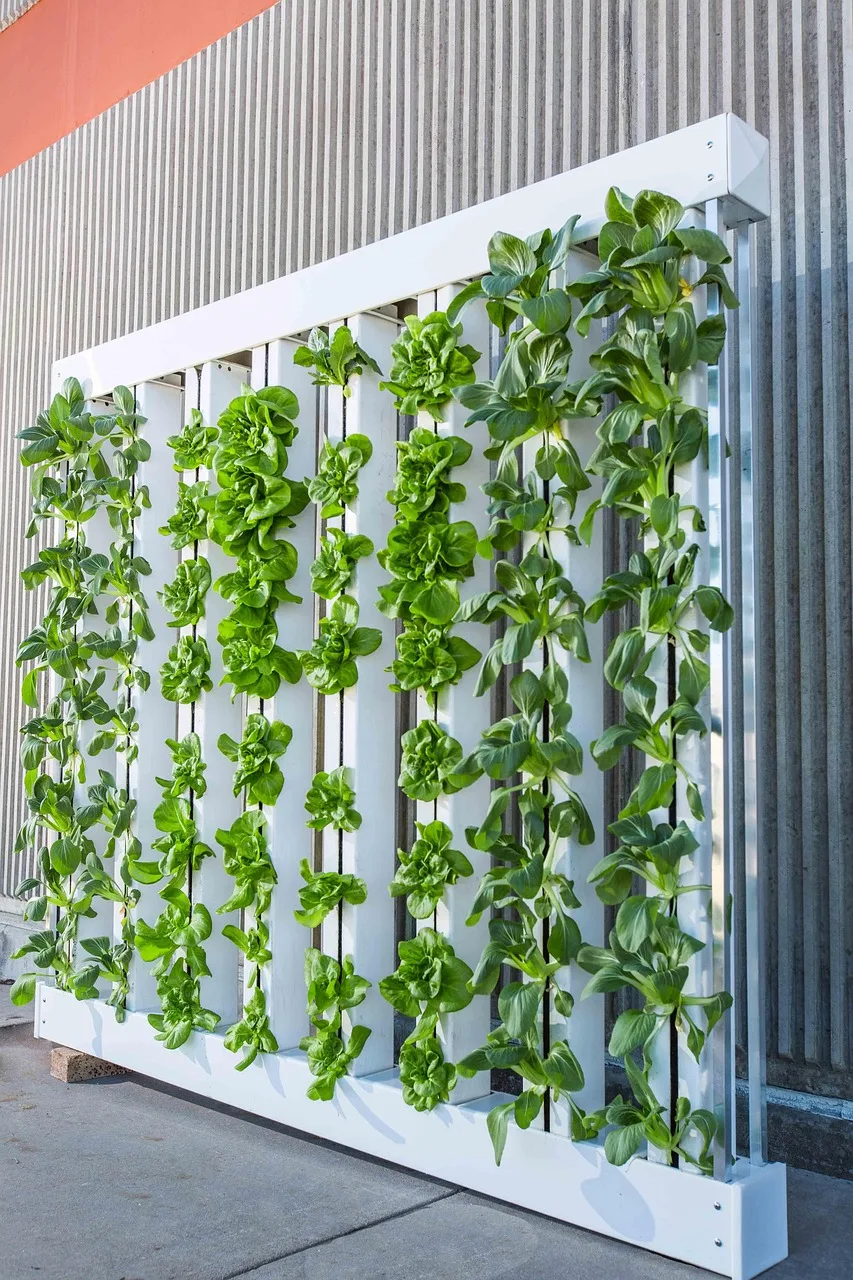Sistema de hidroponía vertical en casa